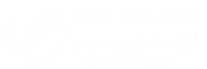 seaanchor